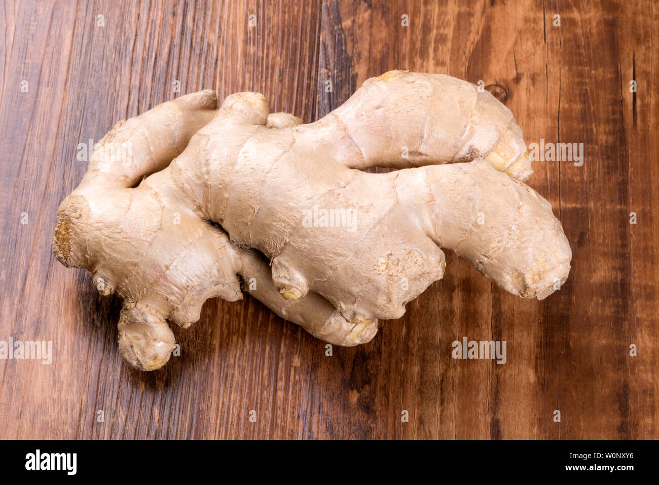 Ginger. Foto Stock