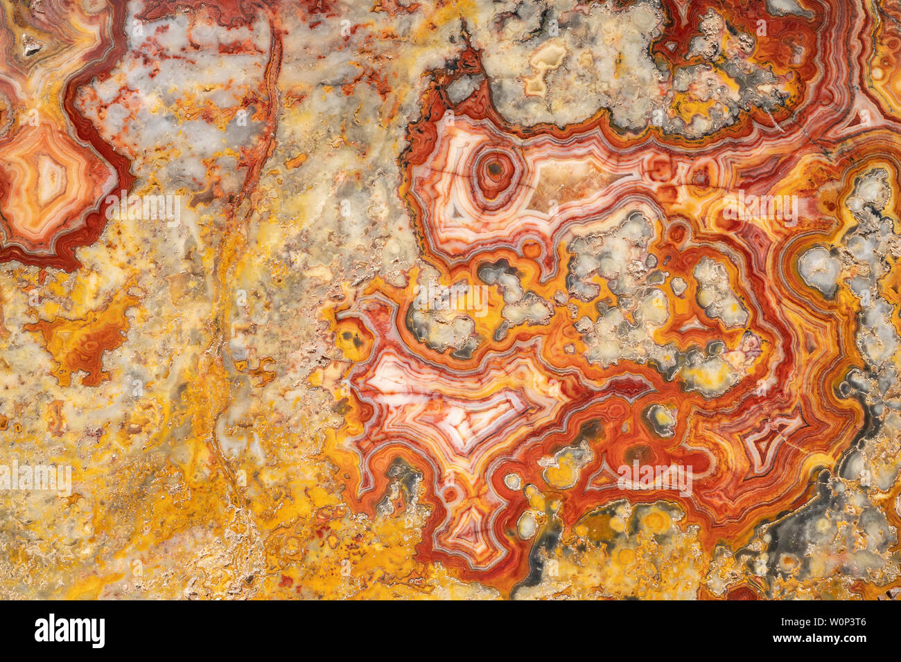 Australian crazy lace agata. Origine: Marillana, Australia. La cortesia di ZRS fossili, di Dominique Braud/Dembinsky Foto Assoc Foto Stock