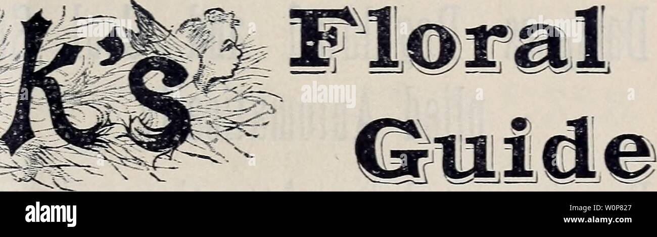 Immagine di archivio da pagina 22 del catalogo descrittivo e listino prezzi. Catalogo descrittivo e listino prezzi per la primavera del 1886 descriptivecatal1886ee Anno: 1886 Un bel lavoro di 150 pagine, le piastre colorate, e 1000 illustrazioni, con descrizioni dei migliori fiori e verdure, prezzi di io-io , io e piante e come far crescere la loro. Stampato in inglese e tedesco. Prezzo, solo 10 centesimi, che possono essere dedotte dal primo ordine. Esso indica quali 3'ou desidera per il giardino, e come ottenerlo invece di correre al negozio di generi alimentari all'ultimo momento per acquistare ciò che le sementi capita di essere più a sinistra, incontro con Foto Stock