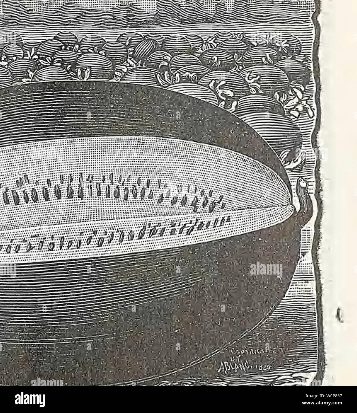 Immagine di archivio da pagina 22 del Catalogo descrittivo delle verdure, fiori. Catalogo descrittivo di verdure, fiori e semi di fattoria Descriptivecata00WeebD Anno: 18uu bianco di funghi (micelio. Tedesco, Champignon.âFrench, Champignon.âSTSLmeh, Seta. Dieci libbre genererà 10 piedi quadrati. Il fungo è una delle più redditizie colture, soprattutto in prossimità delle grandi città, dove la domanda in tutte le stagioni è lontano in eccesso dell'offerta. La sua coltivazione può essere effettuata con successo in una cantina o un capannone durante l'inverno o all'aperto in estate. Direzioni culturali : â raccogliere . - Vil suff Foto Stock