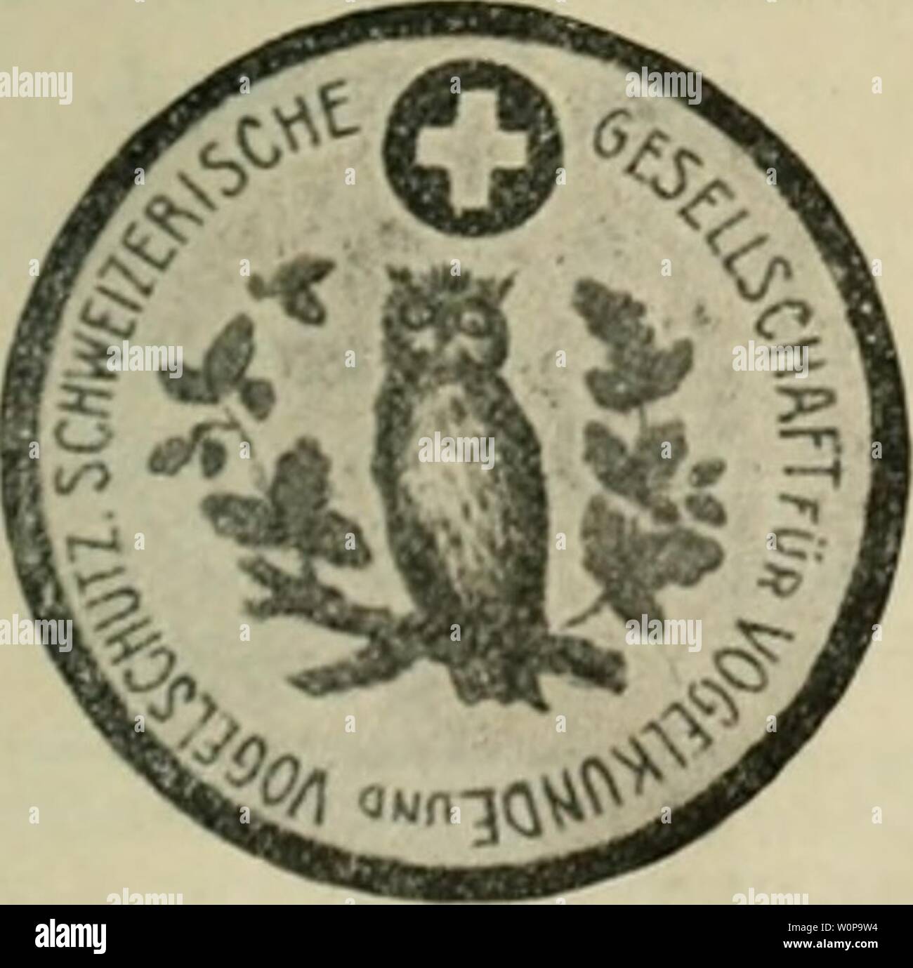 Immagine di archivio da pagina 28 di Der Ornithologische Beobachter (1902). Der Ornithologische Beobachter derornithologisc08ahimè Anno: 1902 15 avril au 20 mai 1910 1247 pezzi de gibier âde passage" alouettes de mer, pieds rouges, courbageots, redondes ecc. Vom BÃ¼chertisch. L.ebensbilÂ"ler aus der Tierwelt. Herausgegeben von H. Meerwarth und K. Soffel. R. VoigtlÃ¤nders Verlag, Lipsia. Lna. 2/3 SÃ¤ugetiere und 18/19 VÃ¶gel. Je 75 Pfg. Von dem hier schon in ersten Lieferungen angezeigten Werke sind vier weitere Hefte erschienen, die in allen Teilen halten, era der Anfang versprach. Die neuartige Il Foto Stock