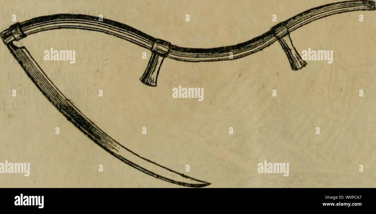 Immagine di archivio da pagina 41 del catalogo descrittivo di orticoltura e. Catalogo descrittivo di orticoltura e di attrezzi agricoli e gli strumenti e il campo e giardino semi : con brevi indicazioni per la semina, la semina e la cultura e le norme di applicazione del guano, calce, gesso, osso-polvere e altri concimi. Anche un elenco di scelta di alberi da frutto con le indicazioni per la semina e la cultura con una descrizione delle migliori razze di animali domestici, e il miglior tempo e modo di trasporto di essi sud descriptivecatal00abal Anno: 1846 annesse è dei più recenti e approvato mak Foto Stock