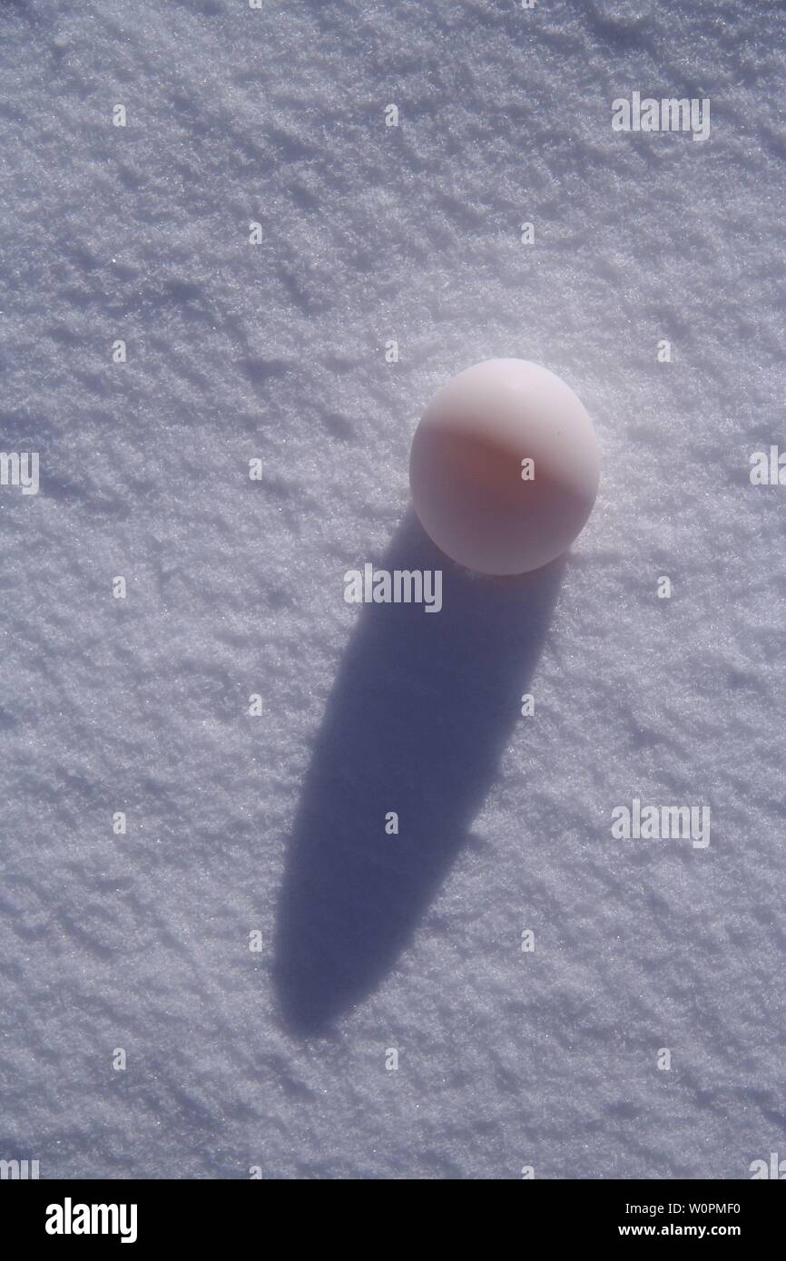 Un uovo di anatra nella neve Foto Stock
