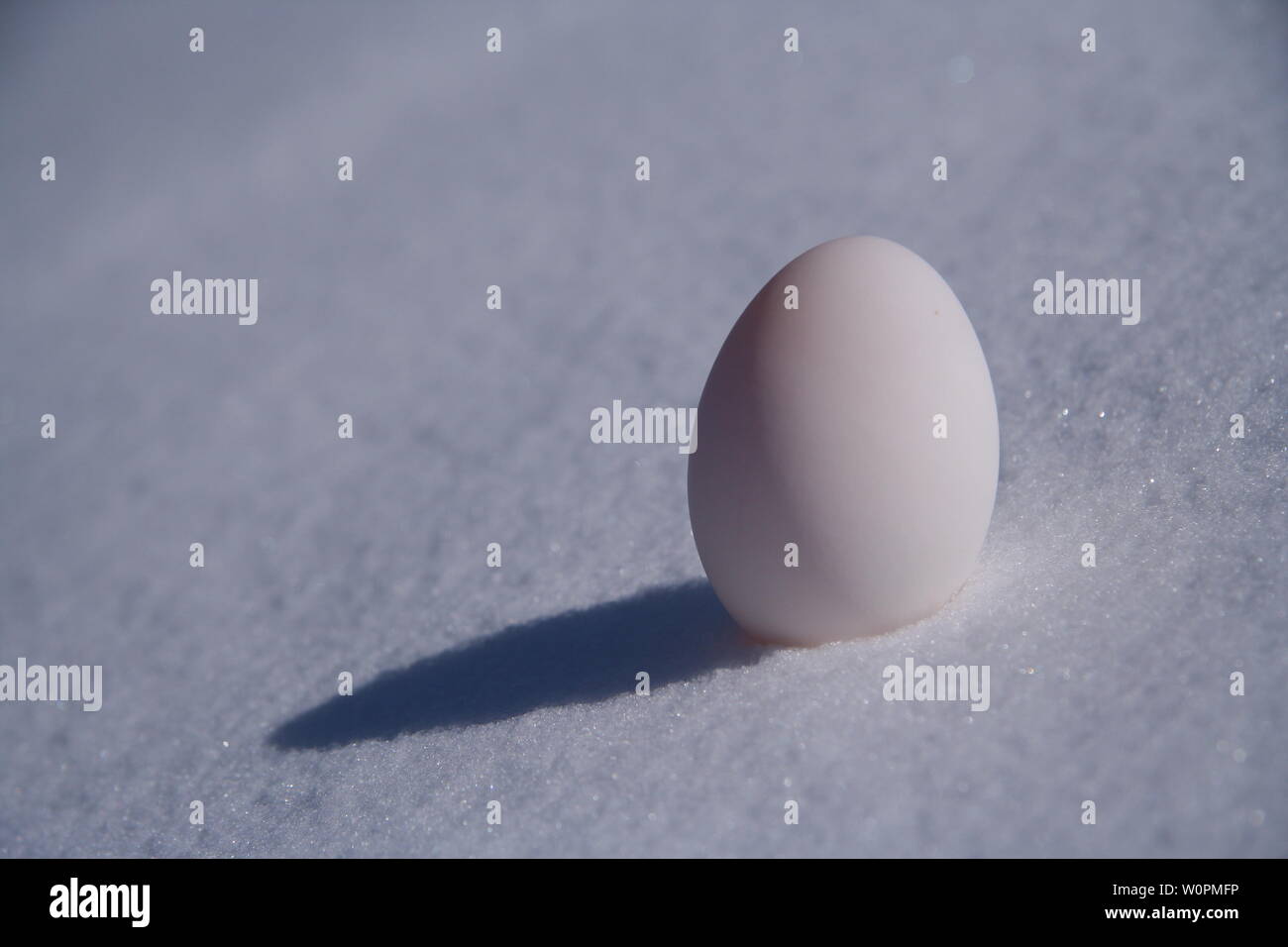 Un uovo di anatra nella neve Foto Stock