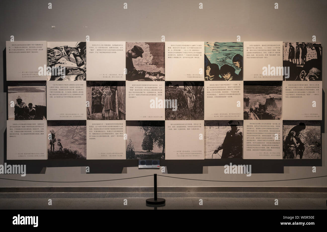 Sichuan Art Museum Foto Stock