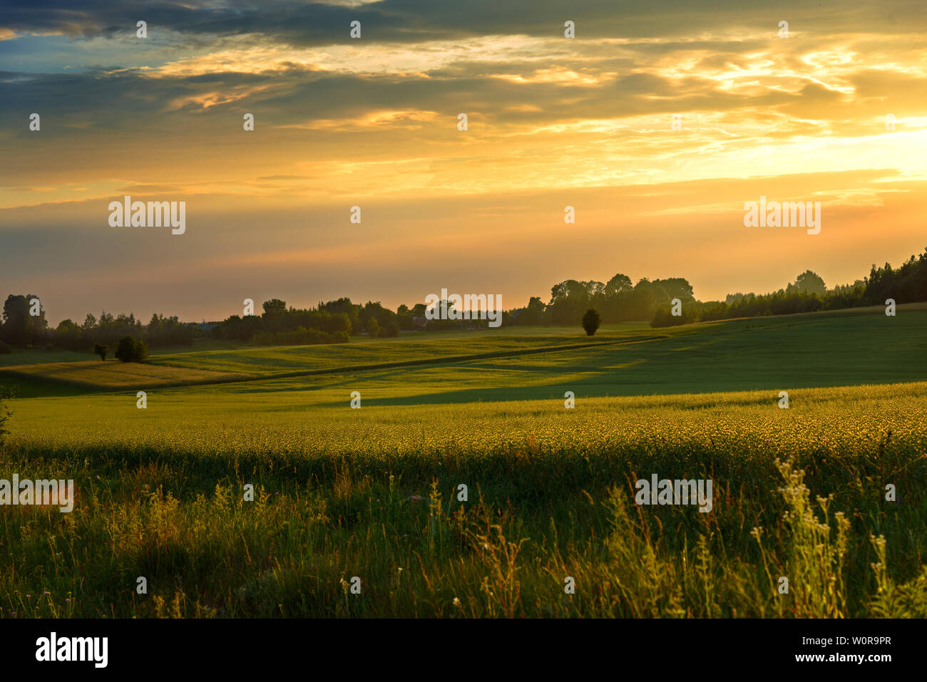 Paesaggio con tramonto Foto Stock