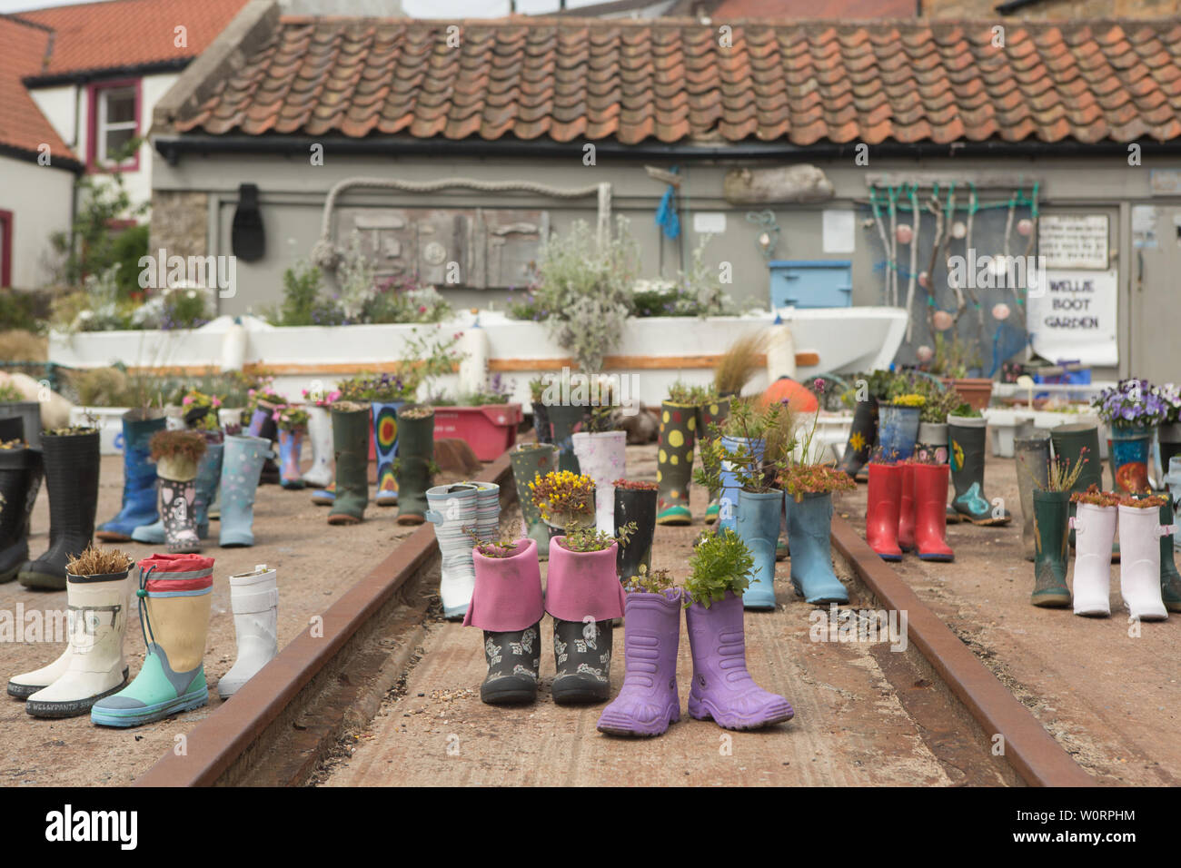 Il Boot Wellie giardino presso il St Monans Harbour, St Monans, East Neuk, Fife, Scozia Foto Stock