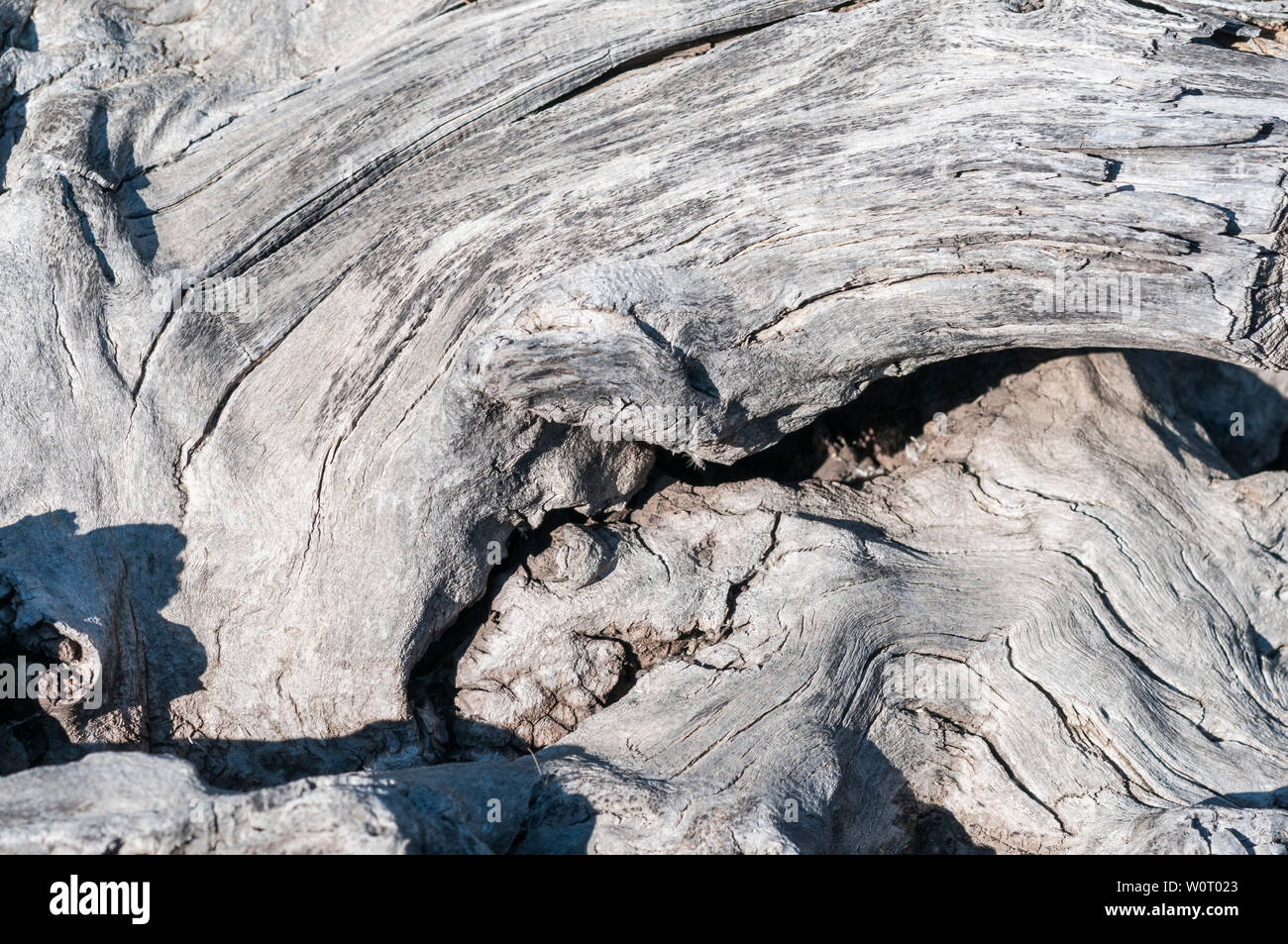 Rustikaler grauer Holz Hintergrund mit Struktureffekt. Foto Stock