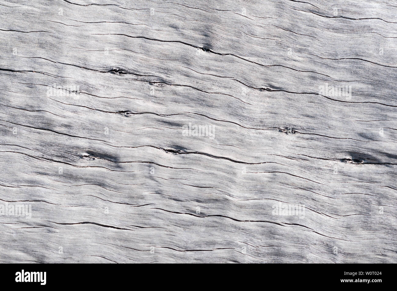 Rustikaler grauer Holz Hintergrund mit Struktureffekt. Foto Stock