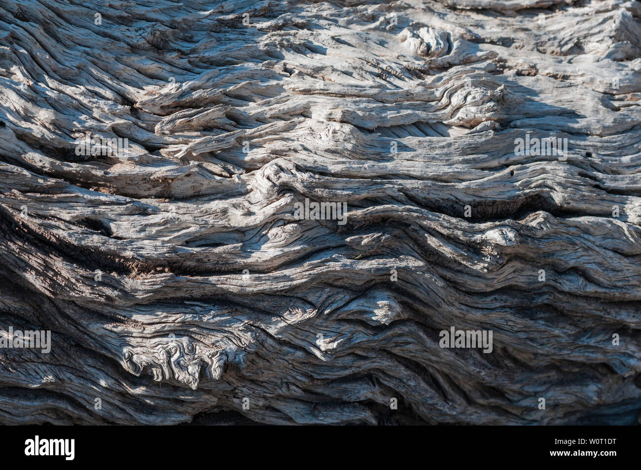 Rustikaler grauer Holz Hintergrund mit Struktureffekt. Foto Stock