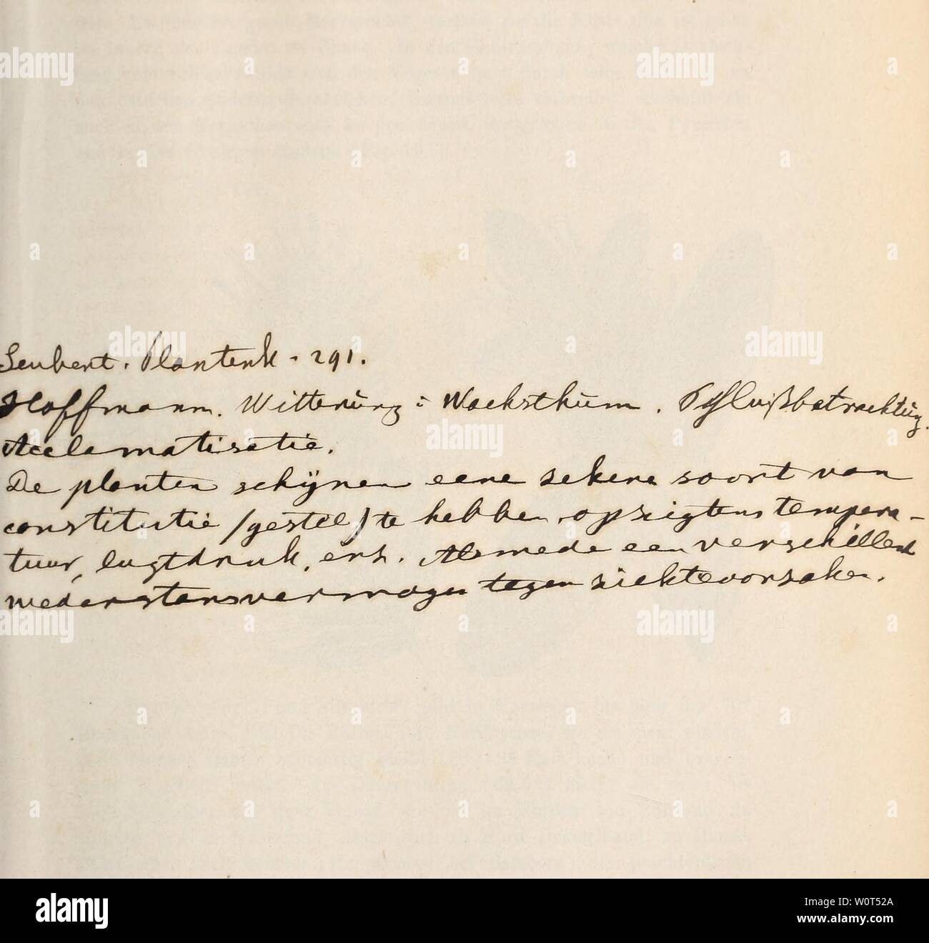 Immagine di archivio da pagina 602 di Der baum (1860). Der baum derbaum00scha Anno: 1860 " Foto Stock