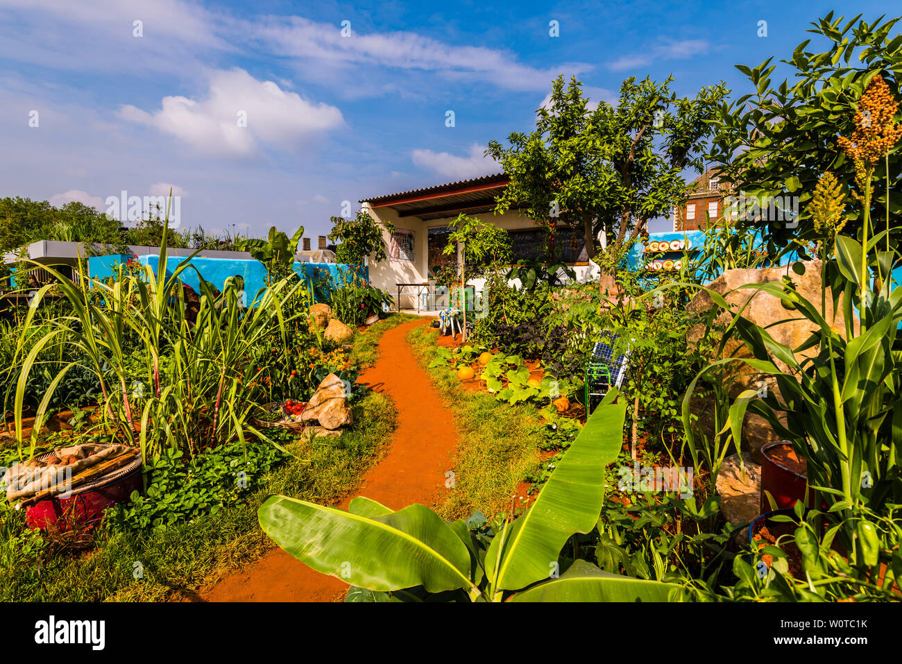 Il giardino CAMFED al 2019 Chelsea Flower Show di Londra, Regno Unito Foto Stock