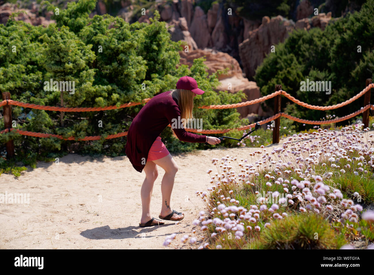 Donna fmaking un video con la gopro di fiori bautiful presso la sorgente, Costa Paradiso in Sardegna (Italia) Foto Stock