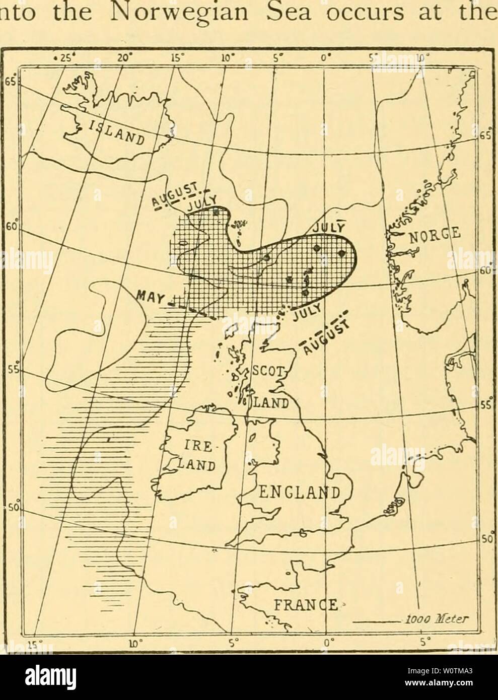 Immagine di archivio da pagina 763 della profondità dell'oceano. La profondità del mare : un conto generale della scienza moderna di oceanografia in gran parte basato su ricerche scientifiche del norvegese vaporizzatore Michael Sars nel Nord Atlantico depthsofoceangen00murr Anno: 1912 7IO ABISSI DELL'OCEANO interesse annette al fatto che l'immigra- in Norwe rapidamente e le temperature inferiori scendere progressivamente verso acque profonde durante la primavera e l'estate. Grandi cambiamenti nella gravità specifica, viscosità e di intensità luminosa accompagnare questi cambiamenti di temperatura ; in molto la grandezza di questi Foto Stock