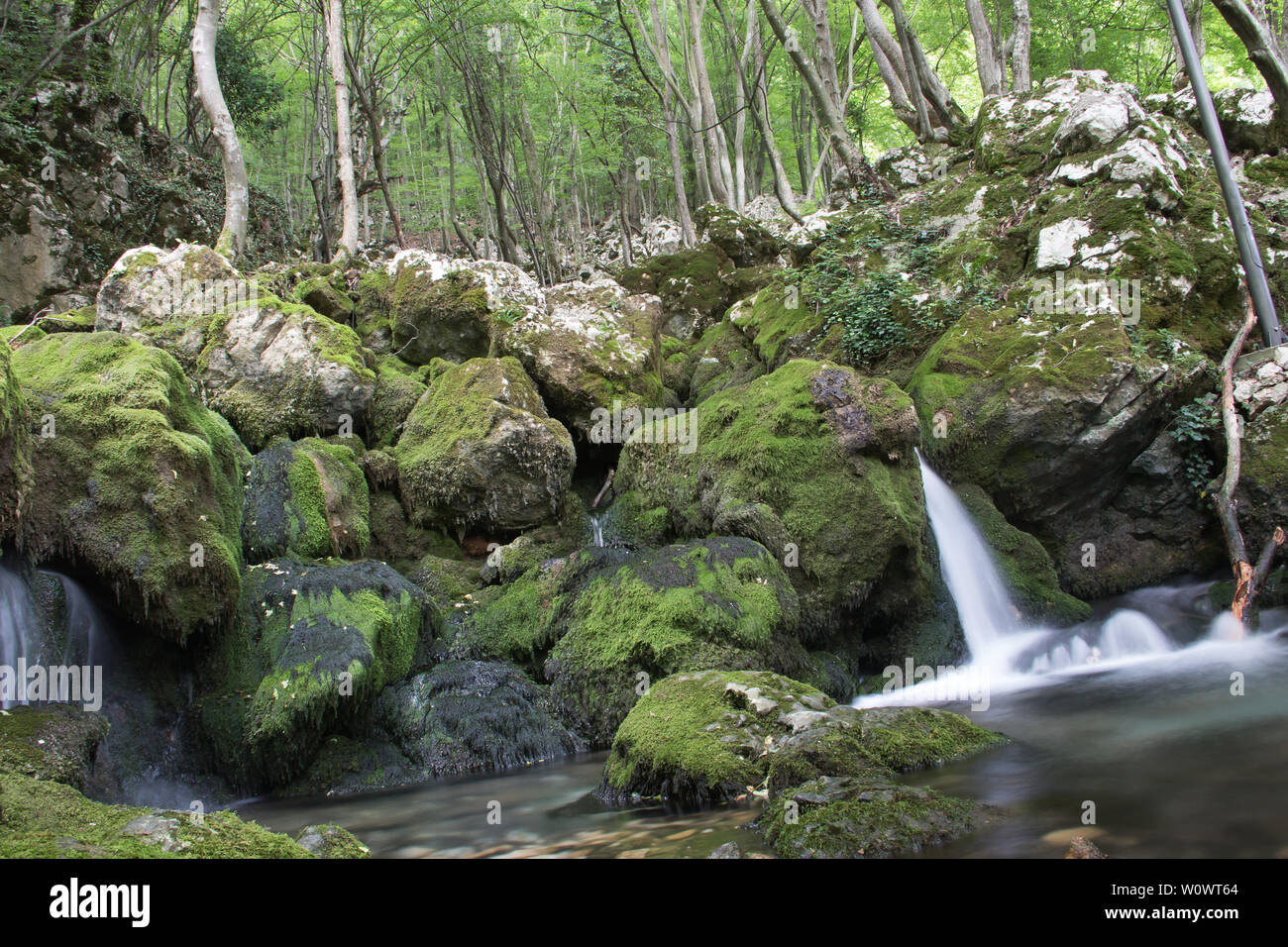 La molla piccola cascata tra rocce e alberi, montagne di Serbia Foto Stock