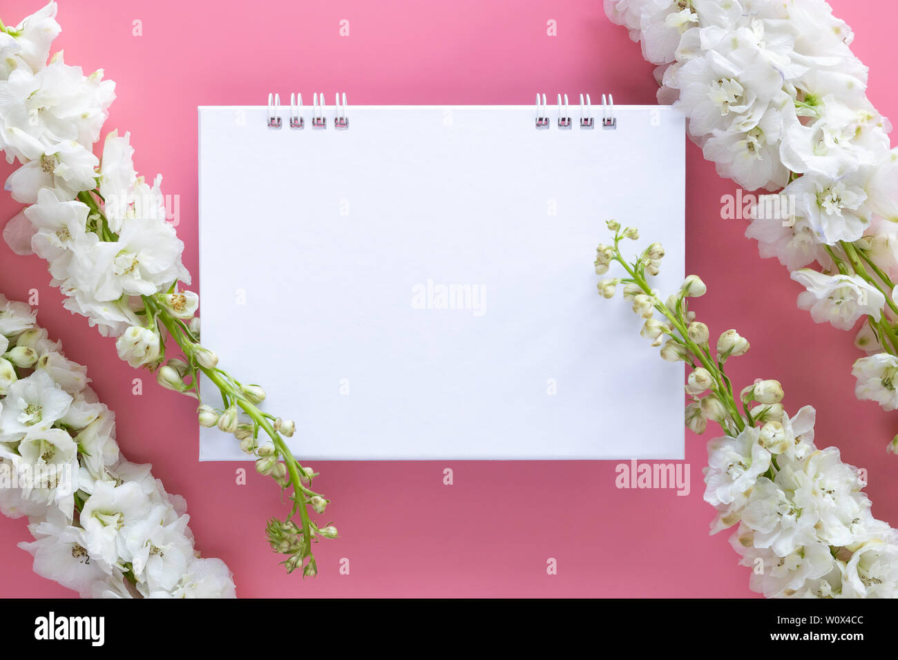 Lay piatto di carta vergine desk calendario a spirale decorare con fiore bianco isolato su sfondo rosa Foto Stock