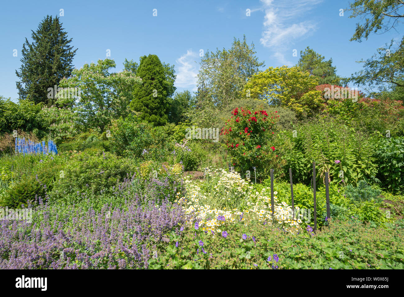 Sir Harold Hillier giardini (Arboretum) in una giornata di sole durante i mesi di giugno, Hampshire, Regno Unito. Il Centenario confine con una varietà di fiori d'estate. Foto Stock