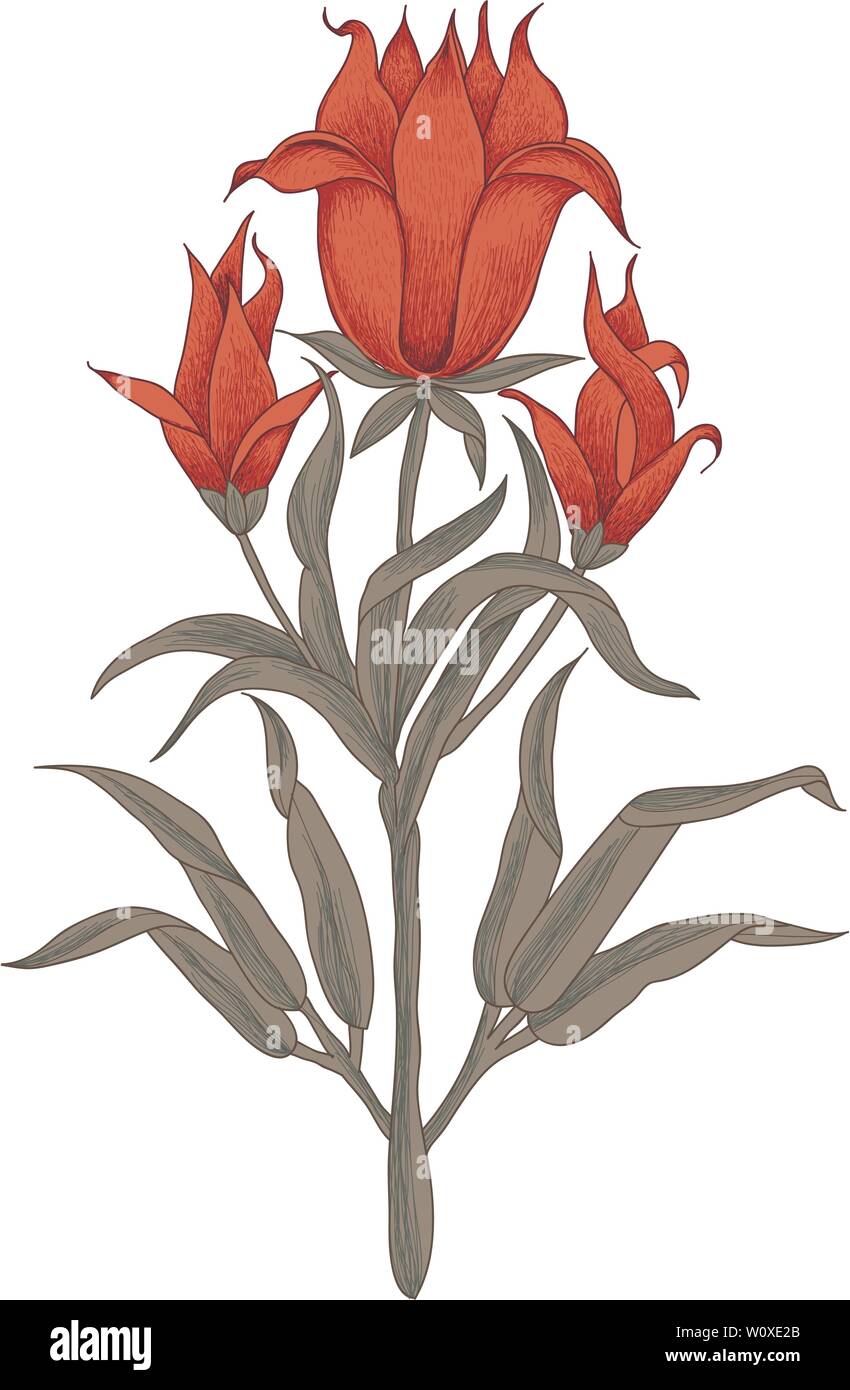 Blocco di legno vettore stampa elemento floreale. Tradizionale orientale motivo etnico dell India Mogul, mazzo di rosso scarlatto fiori isolati su sfondo bianco. Illustrazione Vettoriale