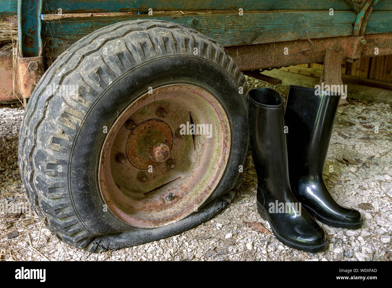 Stivali di gomma per l'agricoltura. Lucido nero stivali di gomma e  attrezzature agricole Foto stock - Alamy