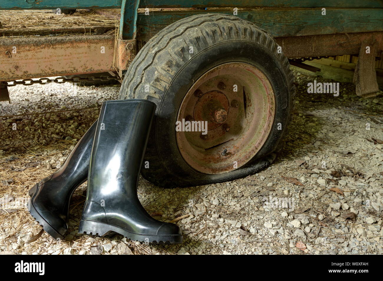 Stivali di gomma per l'agricoltura. Lucido nero stivali di gomma e  attrezzature agricole Foto stock - Alamy