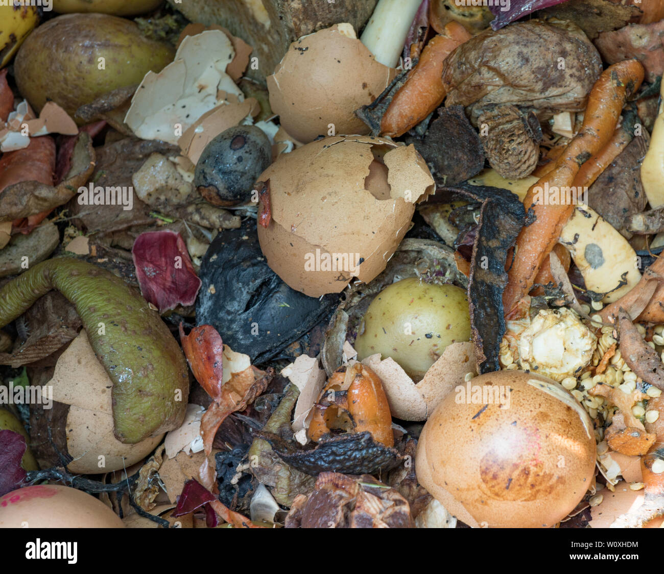 I rifiuti alimentari in giardino compost bin. Regno Unito Foto Stock