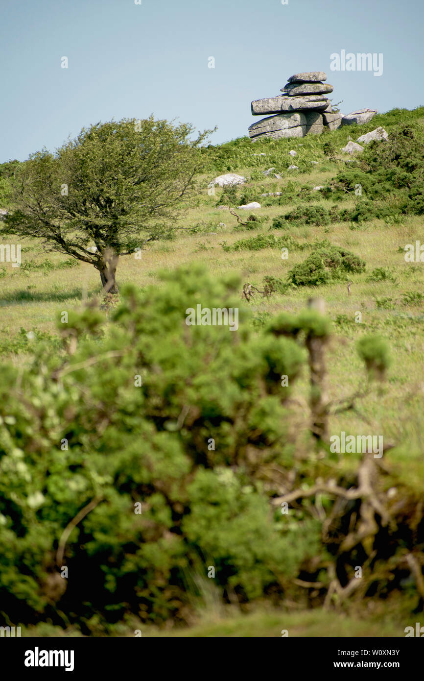 "L'Età del Bronzo tumulo di pietra nel centro di Bodmin Moor Foto Stock