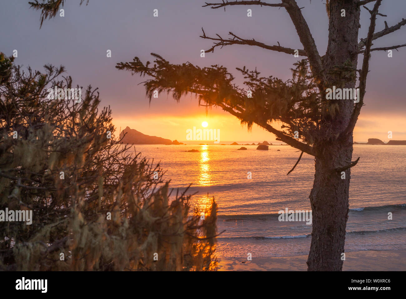Coastal tramonto visto da sopra la spiaggia di ciottoli. Crescent City, California, Stati Uniti d'America. Foto Stock