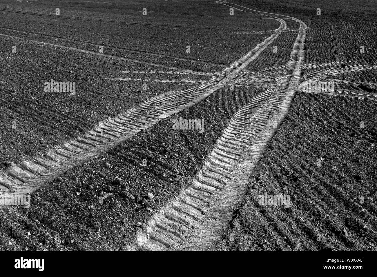 I cingoli del trattore, un campo vicino Oberweser, Weser Uplands, Weserbergland, Hesse, Germania Foto Stock