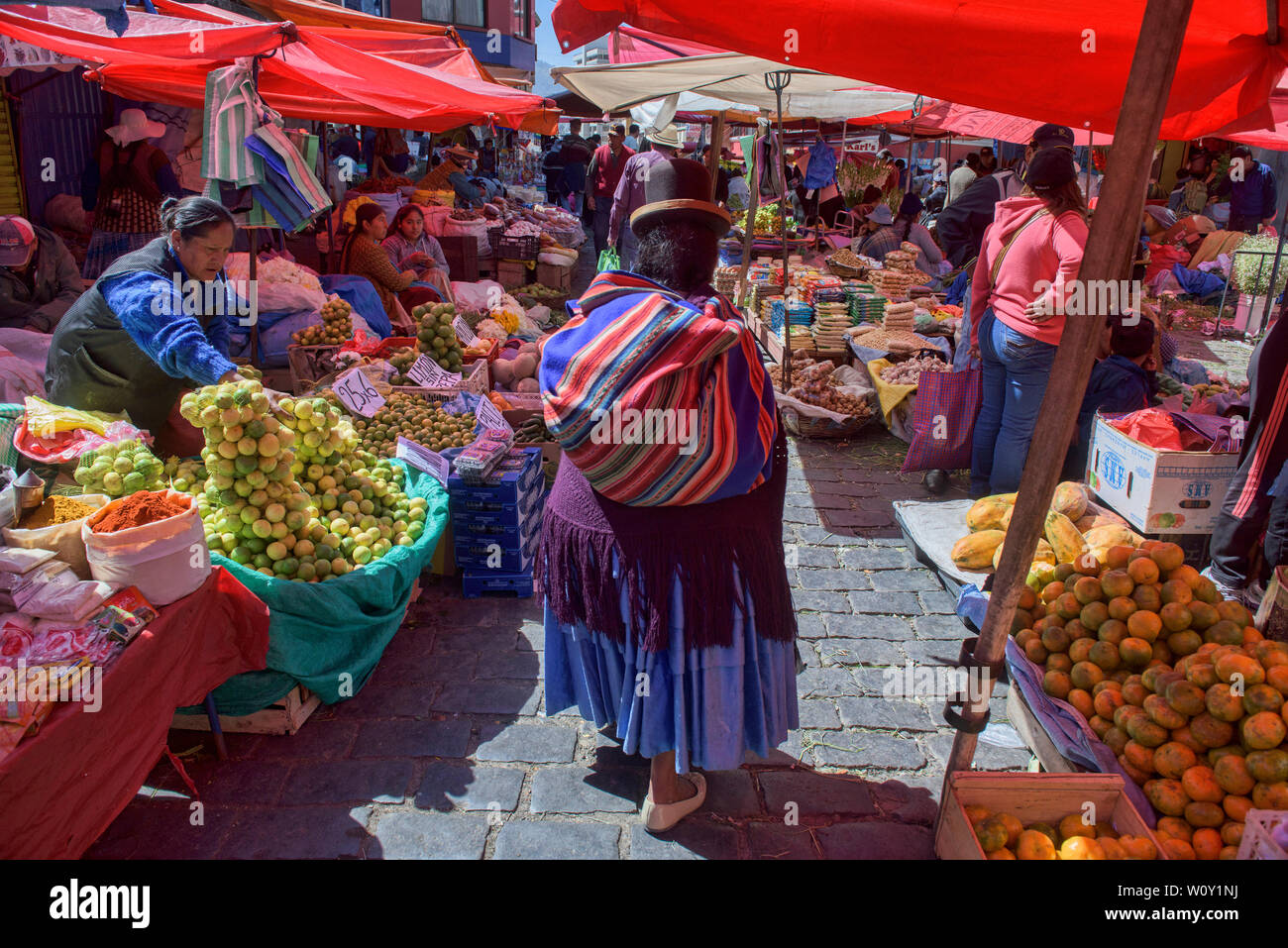 Cholita tradizionale nel Mercado Rodriguez mercato, La Paz, Bolivia Foto Stock