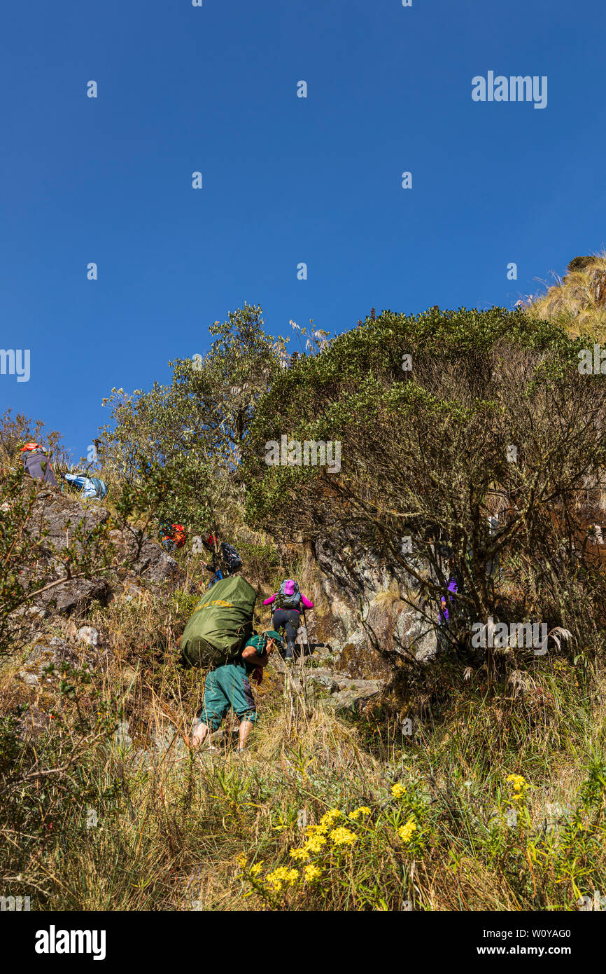 Inca Trail, Day 3, Pacay Mayo Alto tramite Abra de Racay Runku pass e rovine, Sayacmarca rovine, Puyupatamarca rovine e Winay Wayna terrazze e campsit Foto Stock Inca Trail, Day 3, Pacay Mayo Alto tramite Abra de Racay Runku pass e rovine, Sayacmarca rovine, Puyupatamarca rovine e Winay Wayna terrazze e campsit Foto Stock