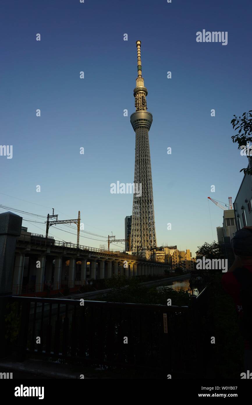 Asakusa Tokyo Giappone SkyTree Tramonto Foto Stock