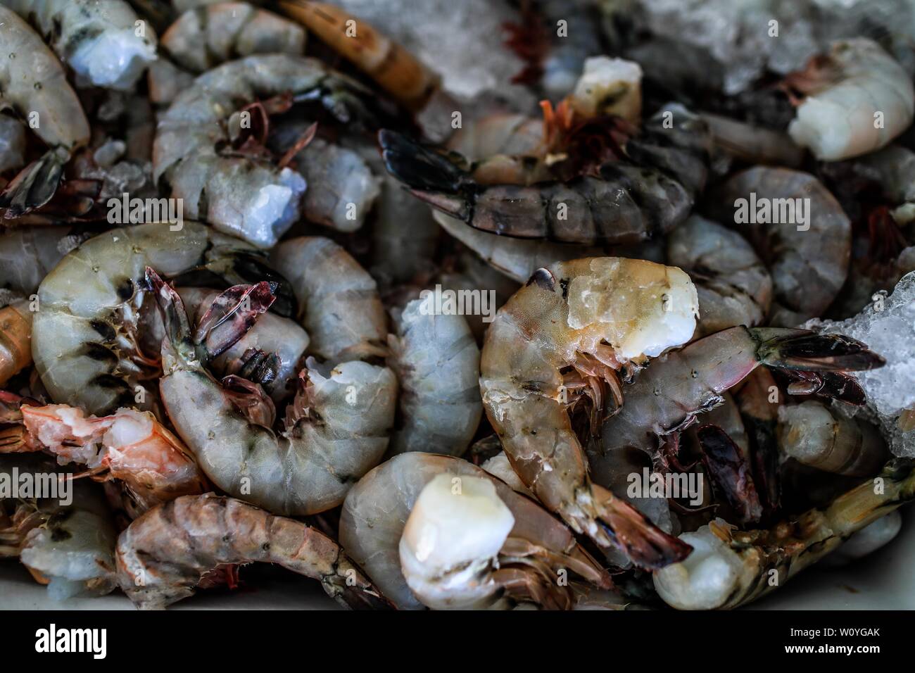 Vendita di gamberetti, percado, a base di pesce di mare. Il cibo del mare. destinazione turistica mercato Puerto Peñasco, Sonora, Messico .. (Foto: Luis Gutierrez /NortePhoto.com) Venta de camaron, percado, mariscos de la pesca del dia.comida del mar. mercado del destino turistico di Puerto Peñasco, Sonora, Messico. Foto Stock