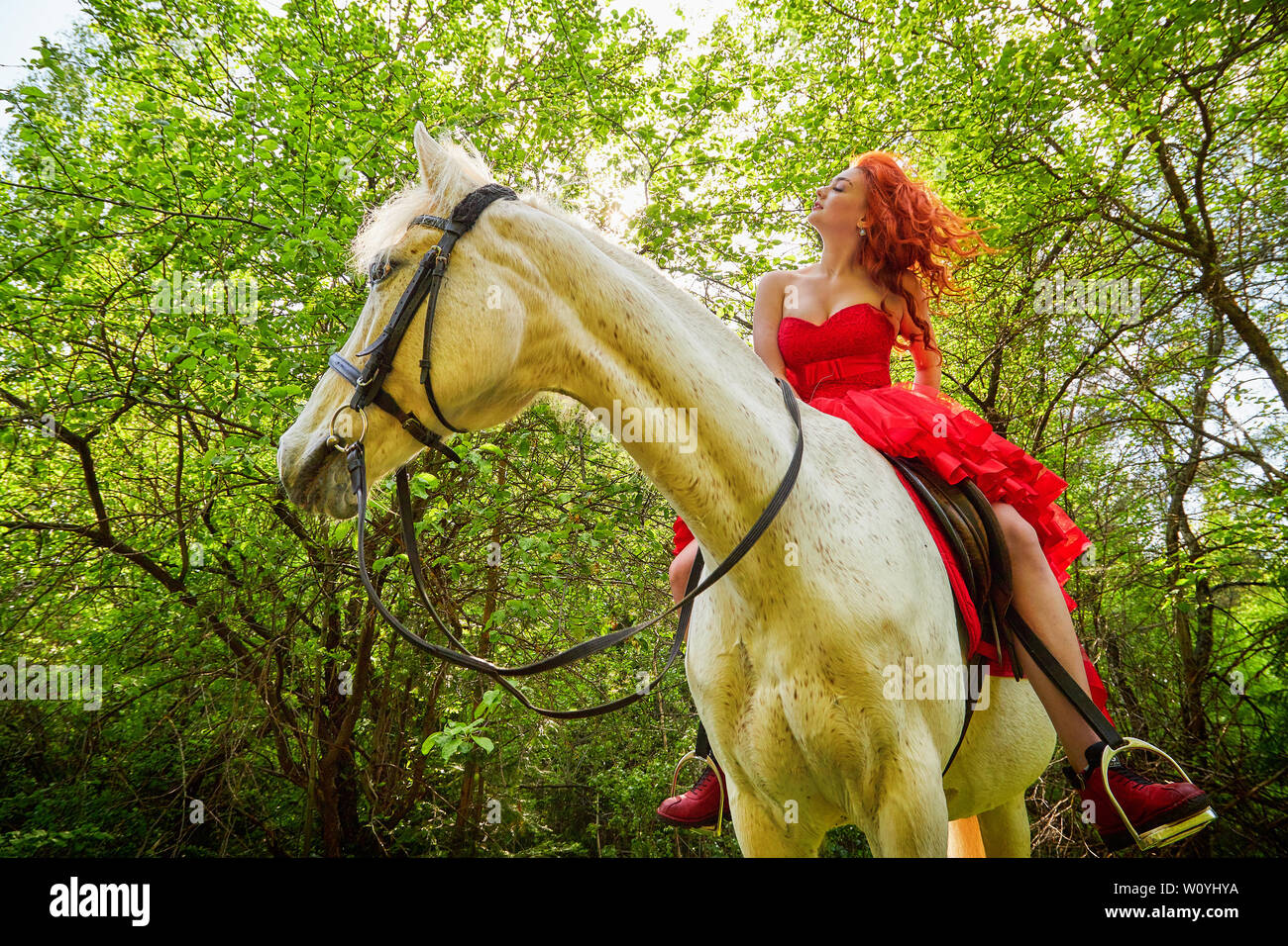 Ragazza in un bellissimo vestito rosso su bianco cavallo nel parco o  foresta. Foto riprese i modelli e la moda. Insolito in posa con un animale  nel giorno di estate su natur