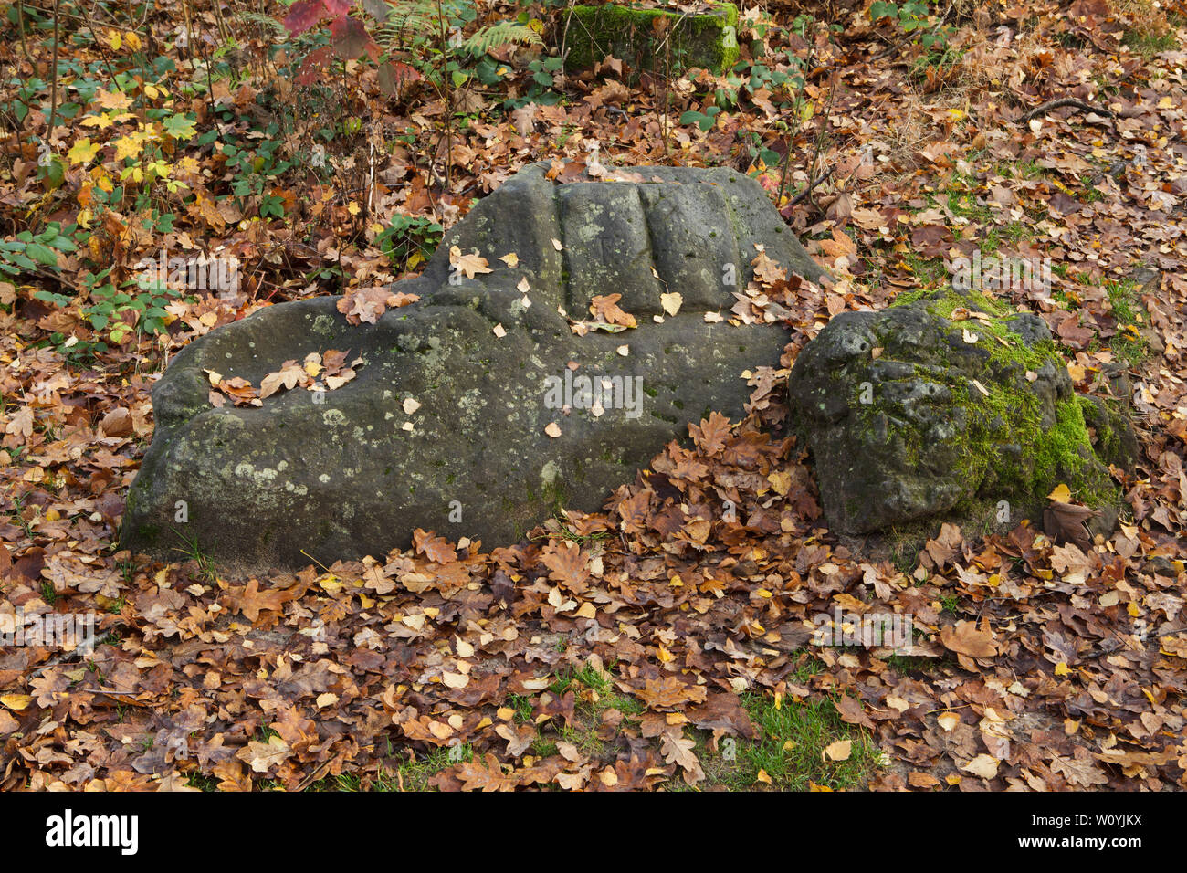 Abbandonato il sedile in pietra conosciuta come il Braun il banco (Braunovo sedátko) nell'area dell'aria aperta la galleria scultoreo noto come Braunův Betlém (Braun di Betlemme) nella foresta vicino al villaggio di Žireč in Boemia orientale, Repubblica Ceca. Il banco è stato scolpito da famosi-austriaco nato scultore Matthias Bernhard Braun (Matyáš Bernard Braun) dal 1726 al 1734 tra le altre statue e rilievi direttamente nelle rocce di arenaria nella nuova foresta vicino ospedale di Kuks (Nový les Kuksu u). Il banco era probabilmente utilizzato dallo scultore durante il suo lavoro. Il Braunův Betlém è considerato uno dei capolavori Foto Stock