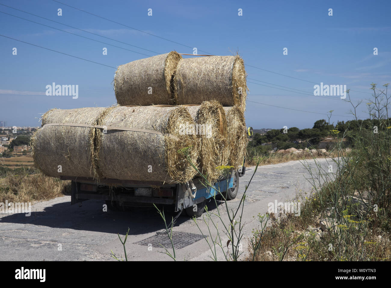 Piccolo camion che trasportano round balle di fieno o rotoli di fieno durante la guida su strada in cemento sulla giornata di sole. Foto Stock
