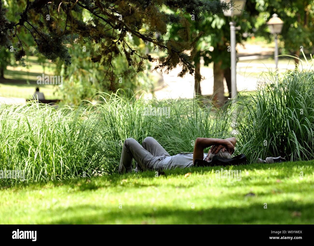 Madrid, Spagna. Il 28 giugno, 2019. Un uomo giace all'ombra sul prato di un parco a Madrid, Spagna, 28 giugno 2019. La temperatura di Madrid ha colpito 41 gradi Celsius sul Venerdì. Credito: Guo Qiuda/Xinhua/Alamy Live News Foto Stock