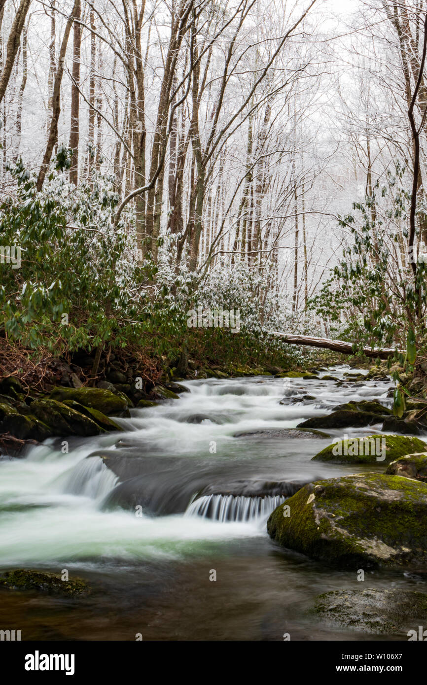 Polo Centrale piccolo fiume scena invernale, Great Smoky Mountains National Park, Tennessee, Stati Uniti d'America Foto Stock