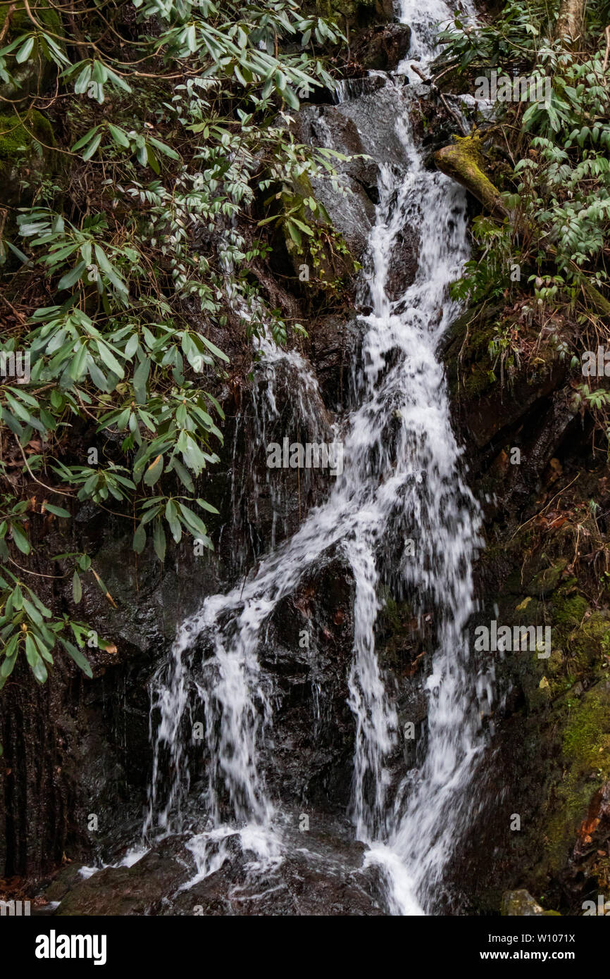 Polo Centrale piccolo fiume e piccolo flusso a cascata nel Parco Nazionale di Great Smoky Mountains Tennessee Foto Stock
