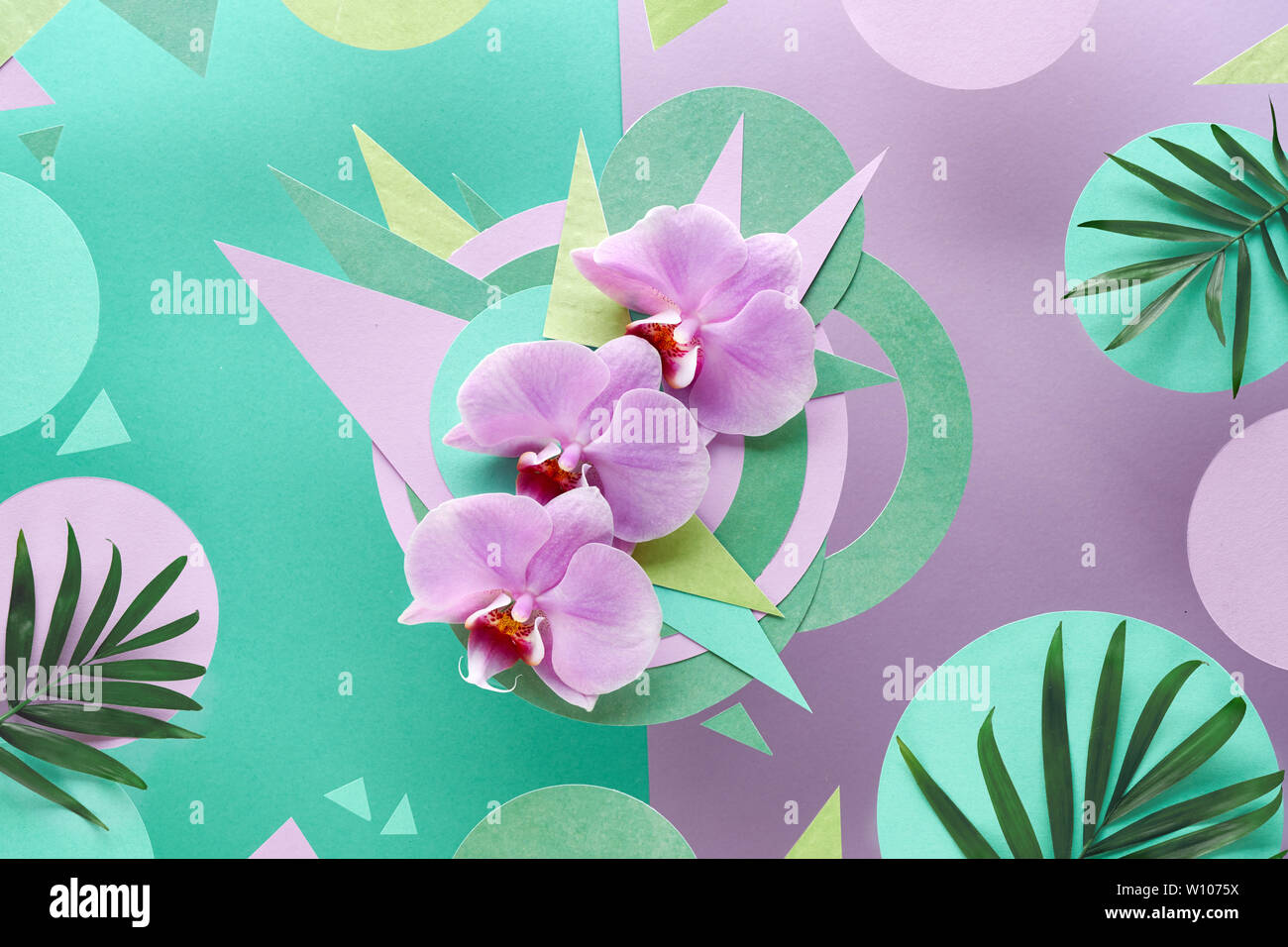 Floral background carta in rosa e menta colori. Fiori di orchidea su sfondo geometrico con copy-spazio. Foto Stock