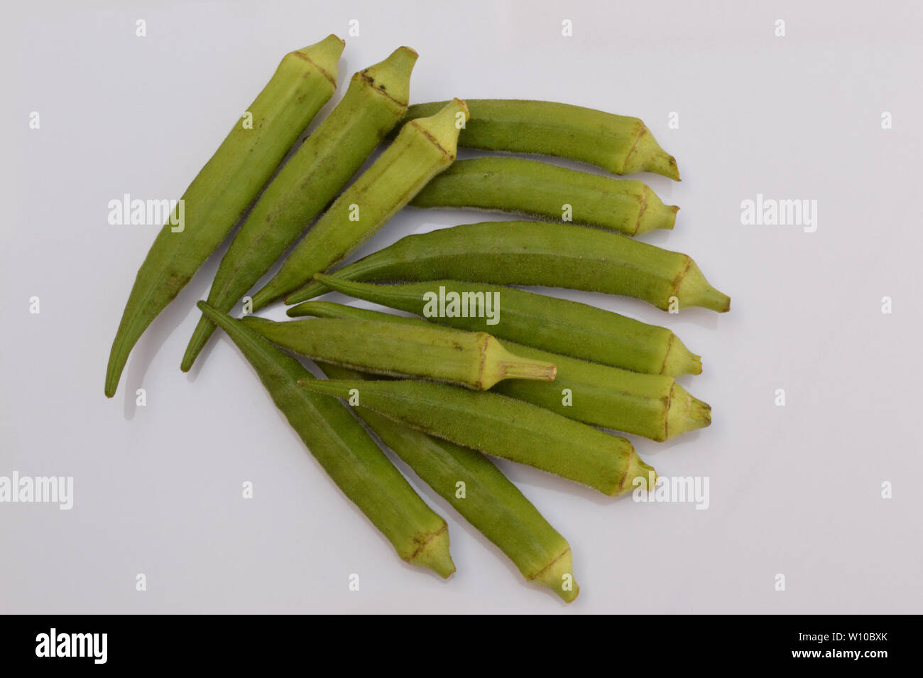 Fresco e verde okra organico da un giardino di casa isolata su sfondo bianco. Foto Stock