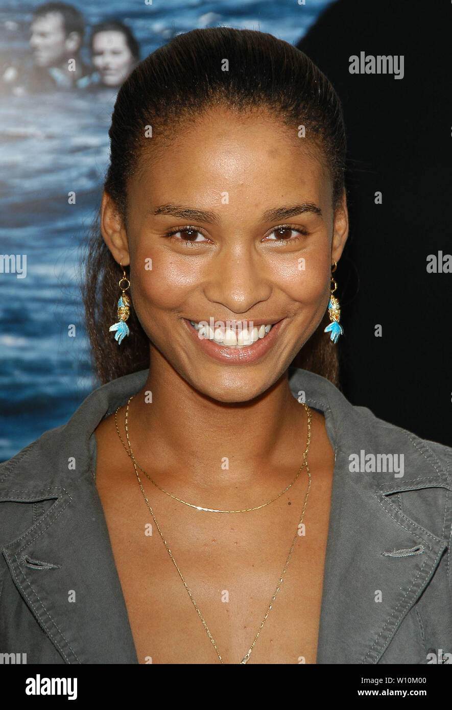 Joy Bryant presso il Los Angeles Premiere di "Open Water" tenutasi presso il Mann Festival Theatre a Westwood, CA. La manifestazione ha avuto luogo il mercoledì, 28 luglio 2004. Foto di: SBM / PictureLux - Tutti i diritti riservati - Riferimento File # 33790-5483SBMPLX Foto Stock