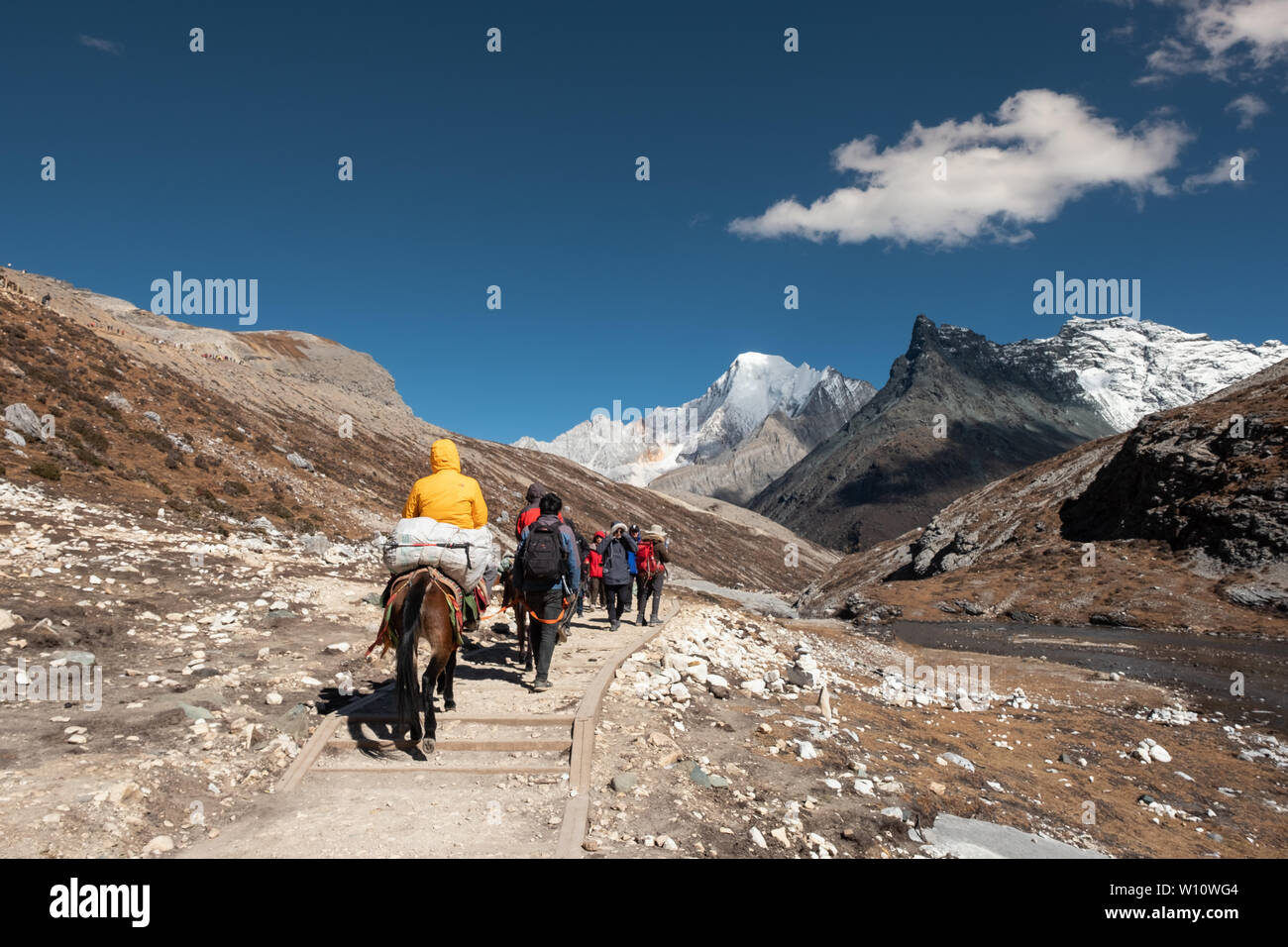 Daocheng, Cina - Ott 23 2018 : i turisti sono backpacker e trekking a cavallo sul picco roccioso vicino lago di latte a quota 4500m, Yading riserva naturale Foto Stock