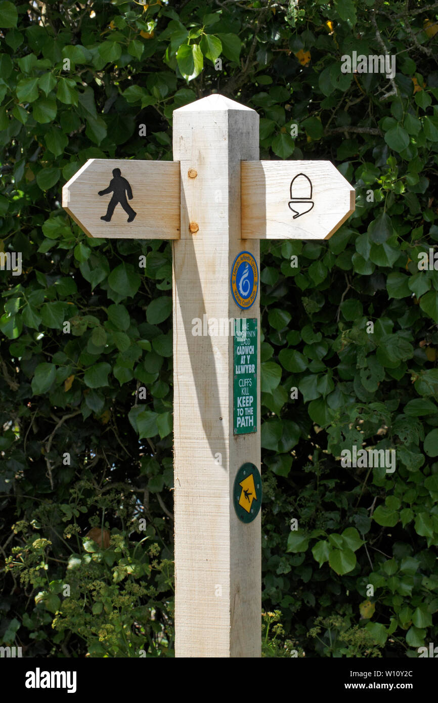 Nuova segnaletica per Pembrokeshire sentiero costiero. Foto Stock