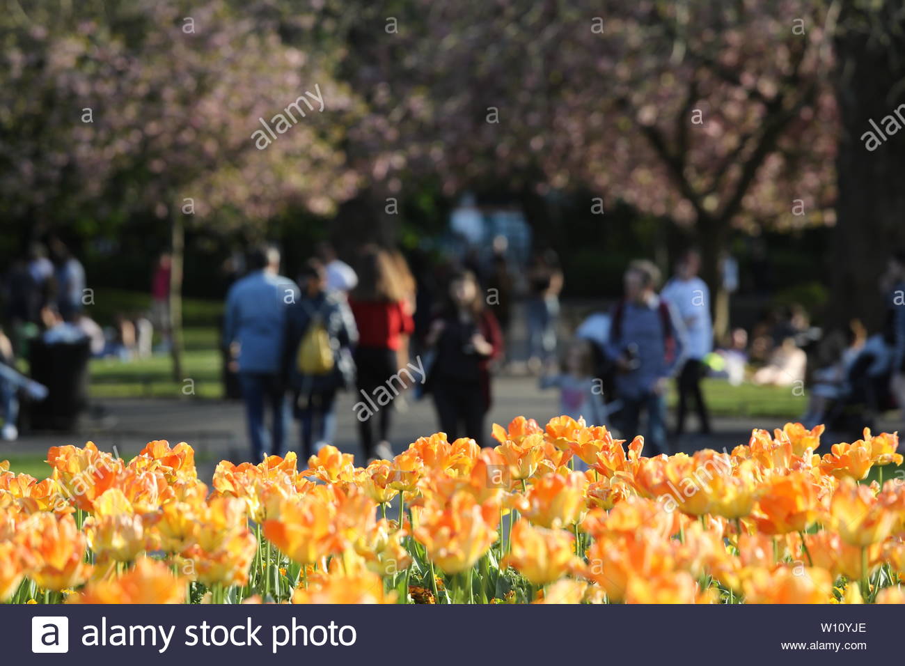 Una vista di persone rilassante in Stephen's Green a Dublino, Irlanda ona giornata di sole. Foto Stock