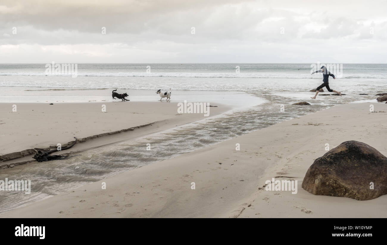 Esecuzione con i cani lungo la spiaggia di Glencairn sul Sud Africa False Bay costa, vicino a Cape Town, nel corso del paese nei mesi invernali Foto Stock