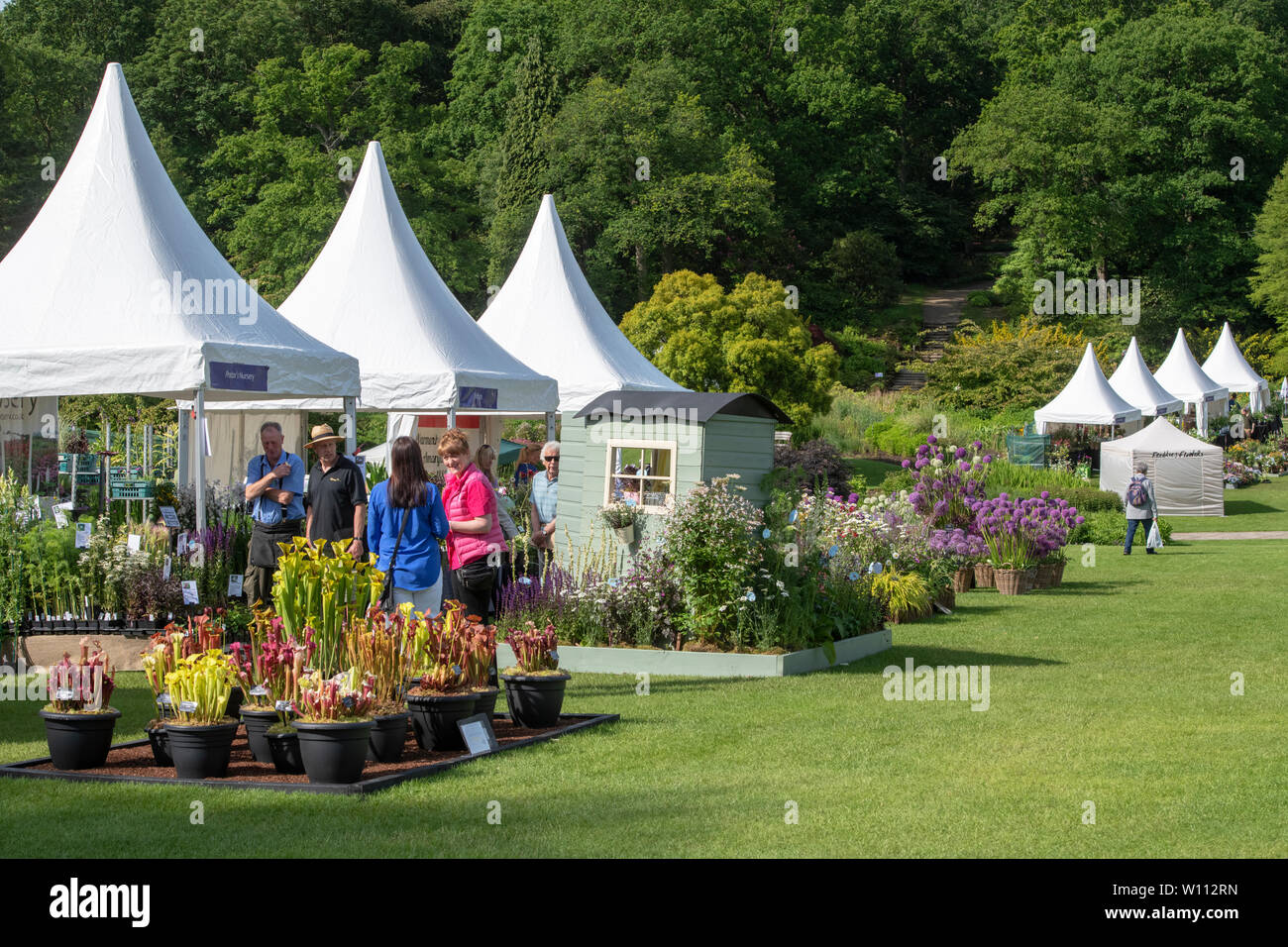 Vivaio si erge a RHS Harlow Carr flower show. Harrogate, Inghilterra Foto Stock