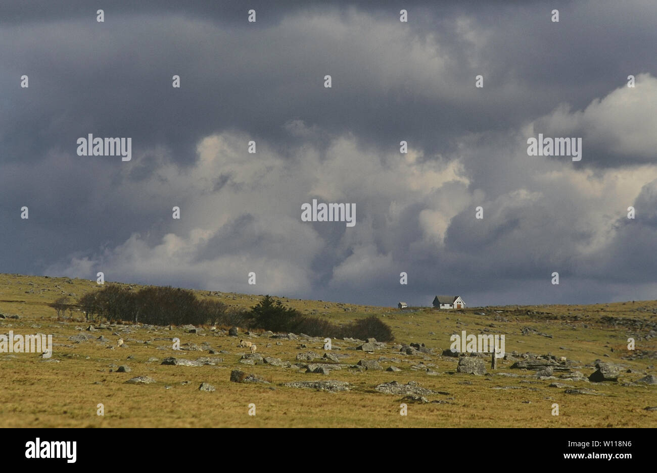 Cottage remoto, Dartmoor Devon, Inghilterra, Regno Unito Foto Stock