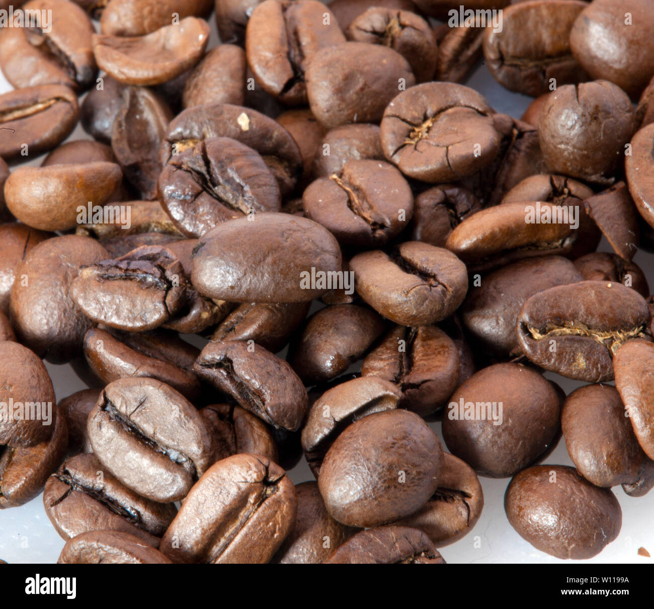 Chicco di caffè su sfondo bianco Foto Stock