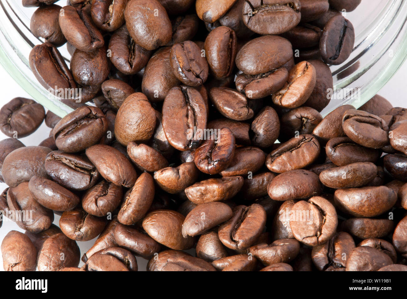 Chicco di caffè su sfondo bianco Foto Stock