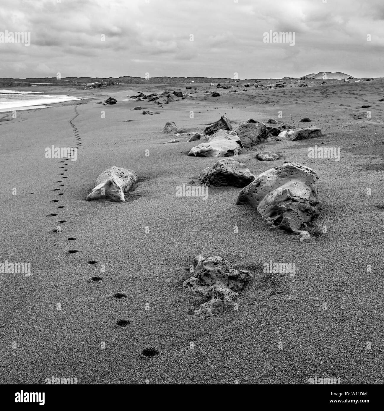 Spiaggia isolata in bianco e nero con tracce di orme di allontanamento e rocce Foto Stock